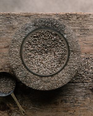 Rye Grain in a Jar