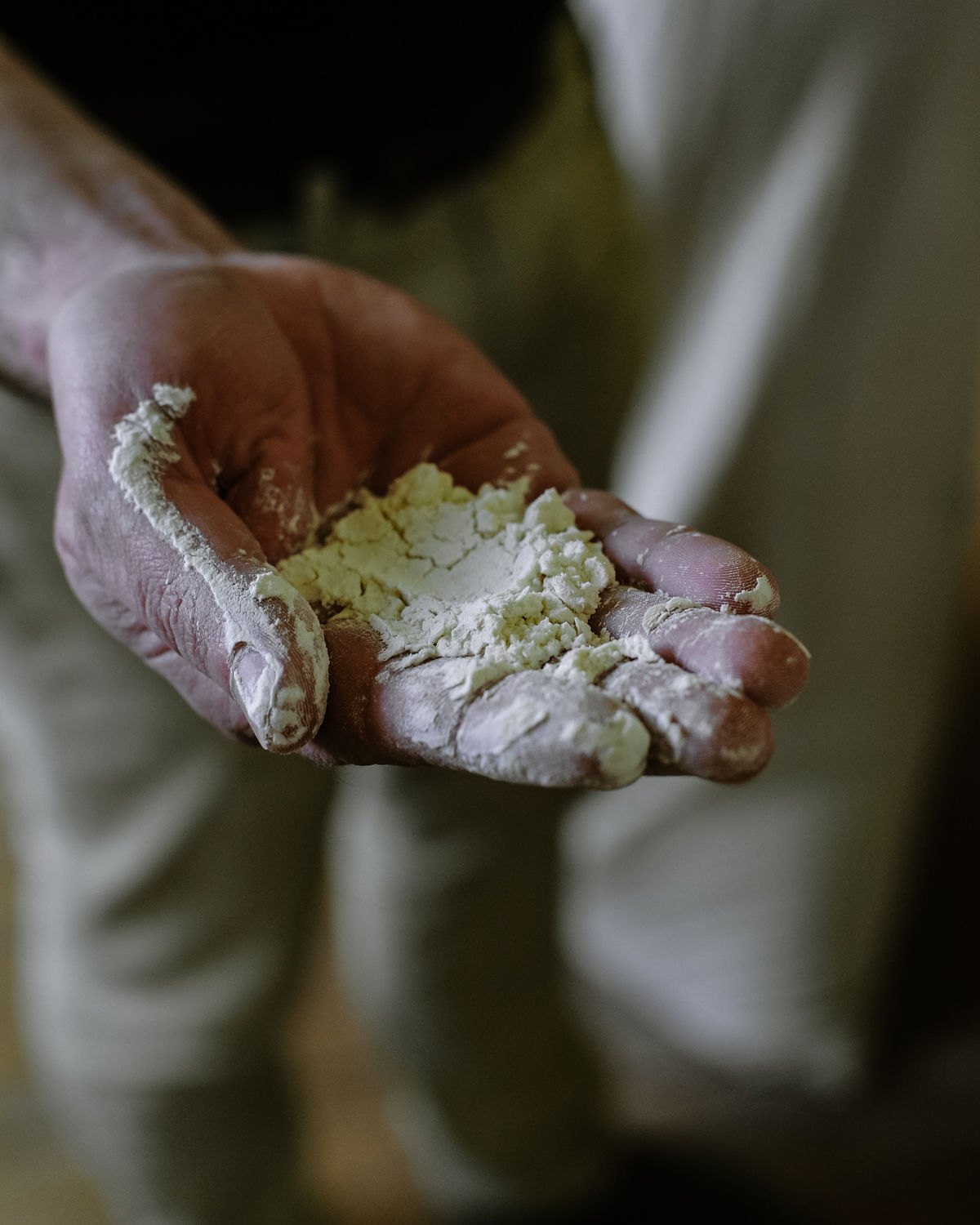 A close up of a hand cupped holding white flour