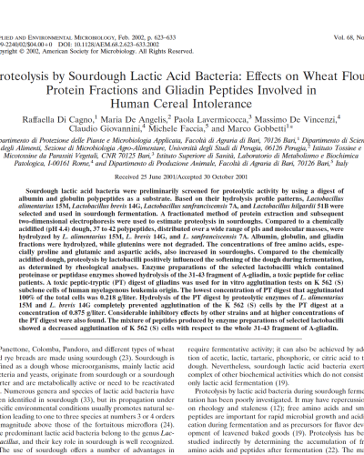sourdough Lactic acid bacteria and gluten