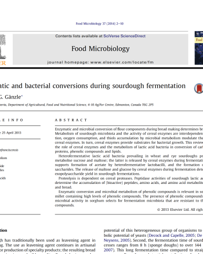 Enzymatic conversions in sourdough