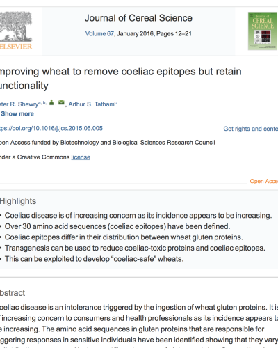 Wheat epitopes in coeliac disease
