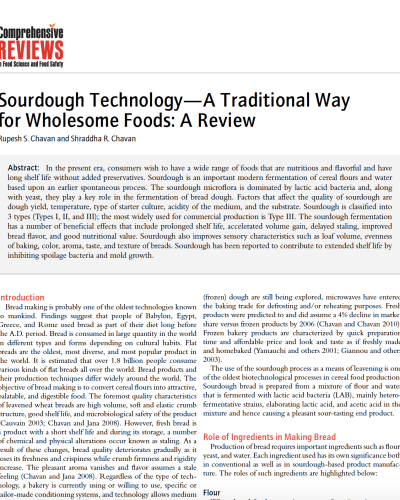 Sourdough overview