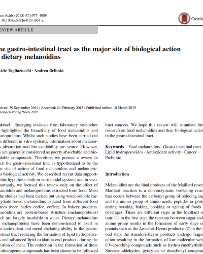 bread crumb and Gut health