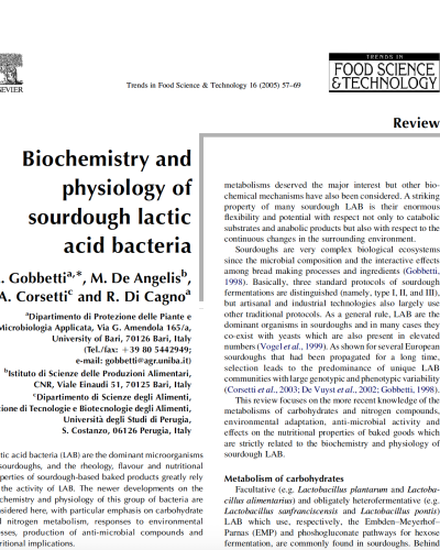 sourdough lactic acid bacteria