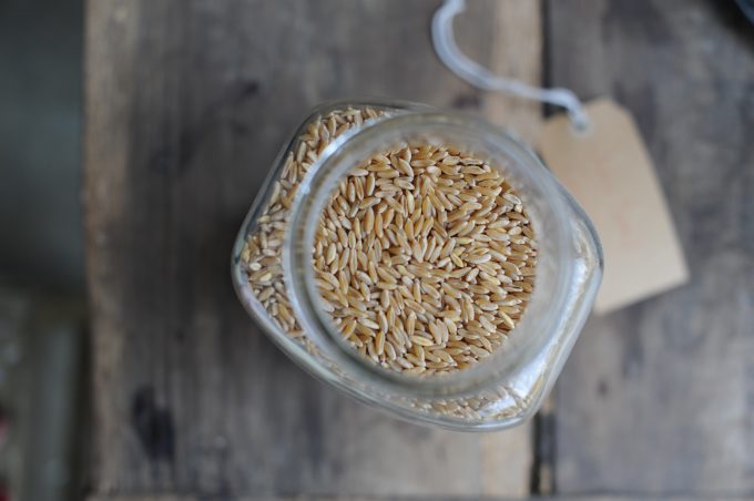 Khorasan Flour for Sourdough