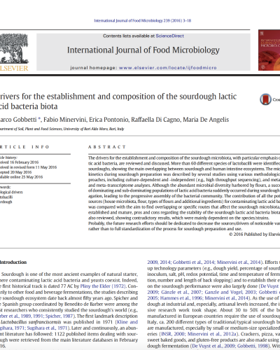 sourdough lactic acid bacteria diversity and species