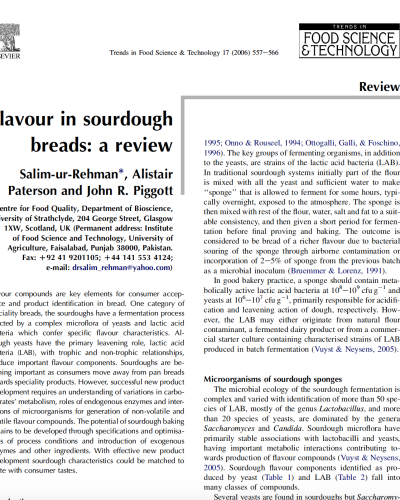 Sourdough flavour review
