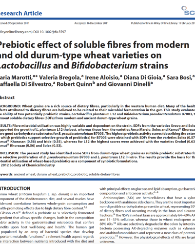 wheat and bacterial strains