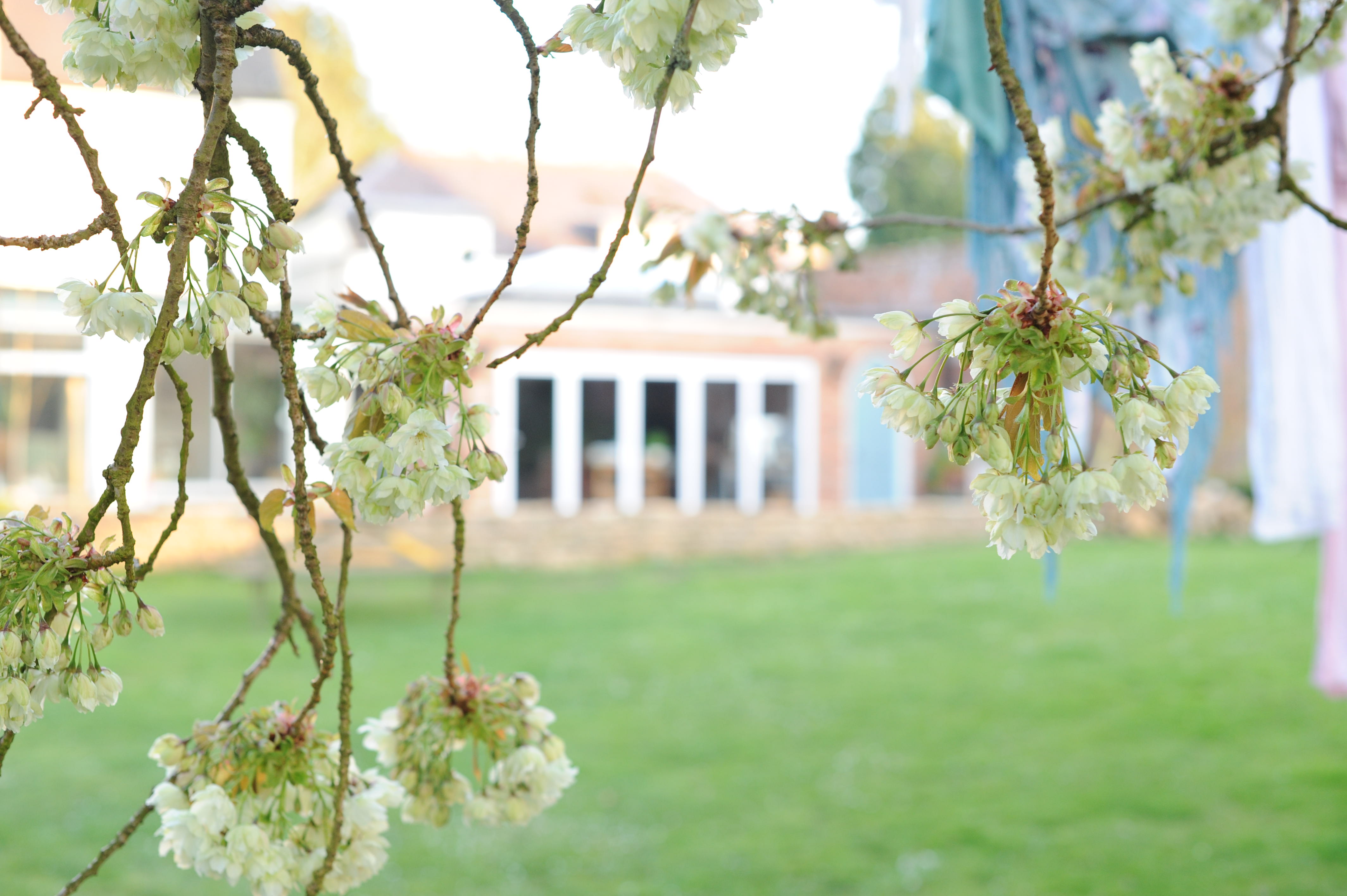 Sourdough bread making courses and classes from sourdough specialist