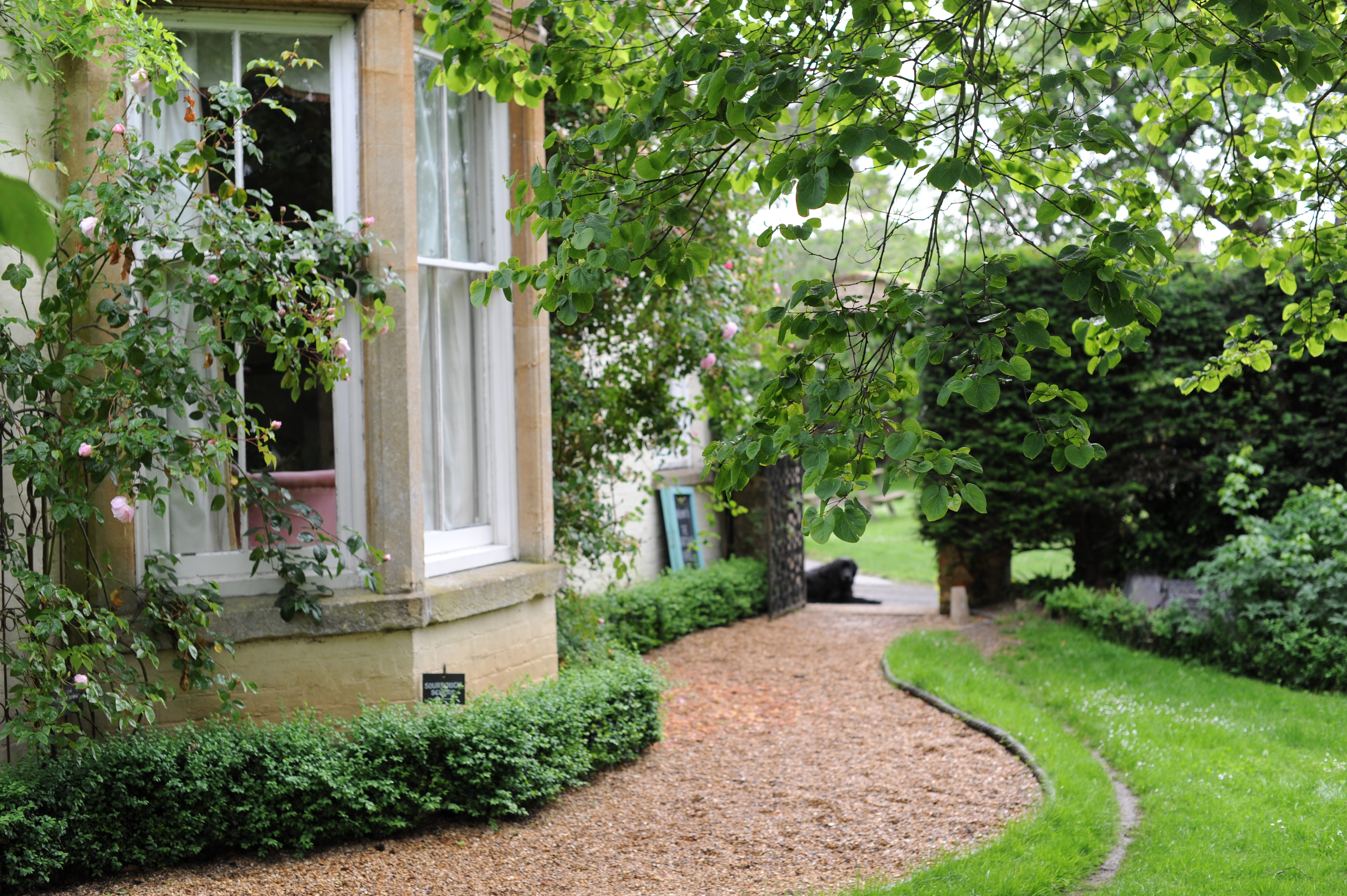 Sourdough bread making courses and classes from sourdough specialist