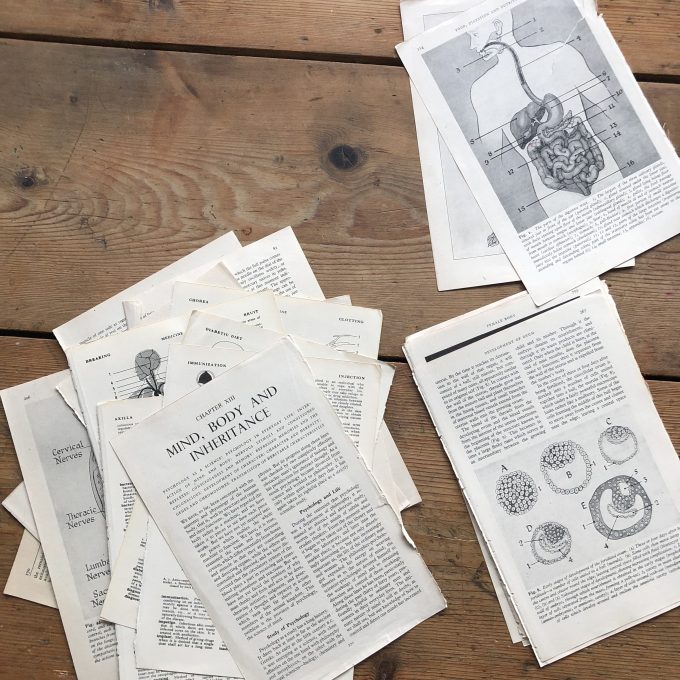 Key Research papers for sourdough nutrition