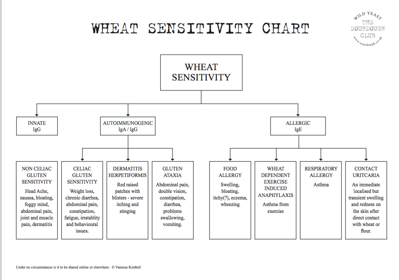 Sensitivity Chart