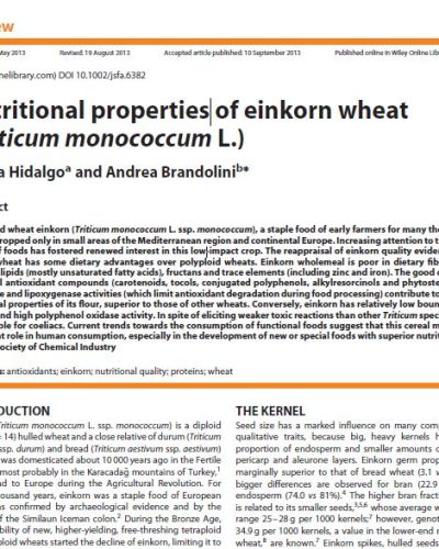 EINKORN