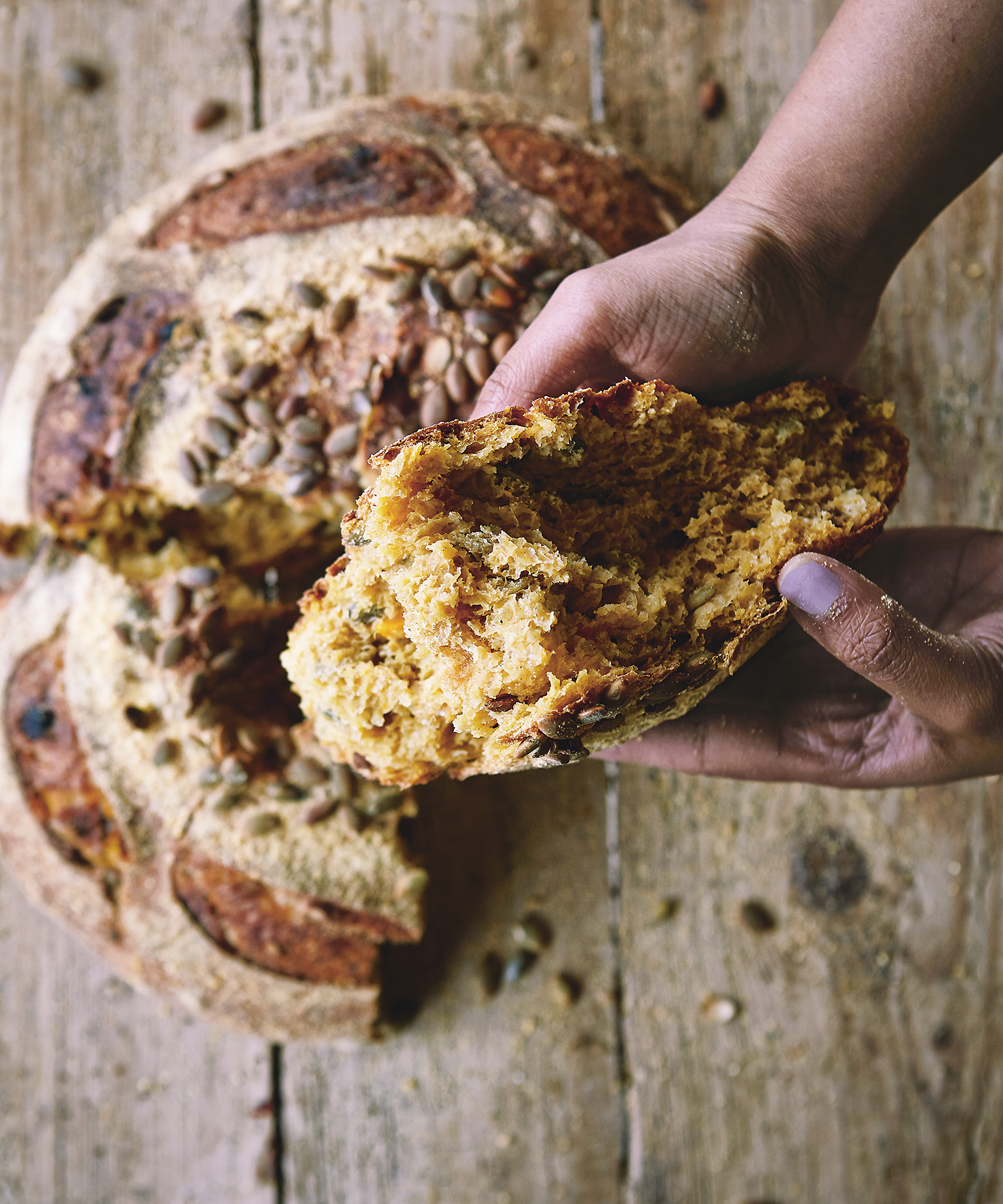 01.30.17_KyleB_D6_VKimbell_PolPum3_021 1