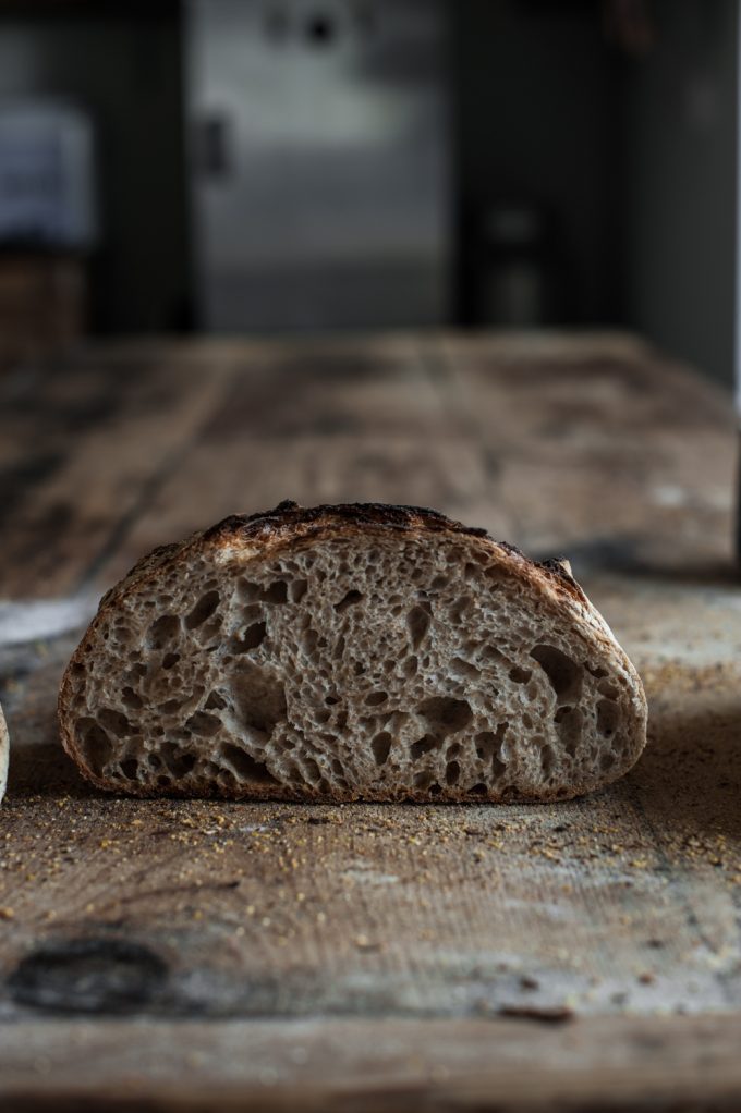 sourdough open crumb
