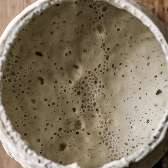 White Sourdough Starter