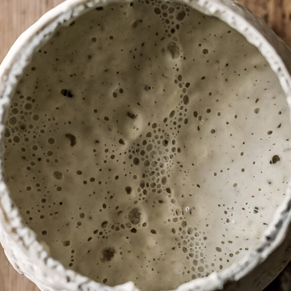 White Sourdough Starter