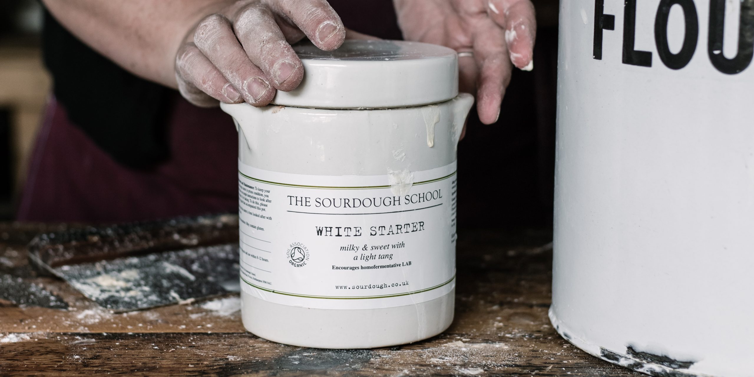 White Starter Banner-1