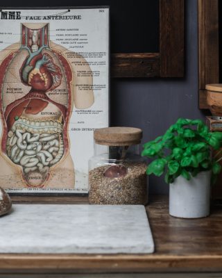 What Happens when you eat Sourdough?