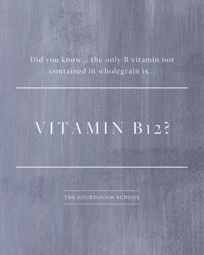 b12 GLOSSARY