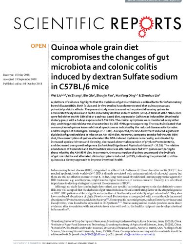 Quinoa: Red Ferment_Polyphenol