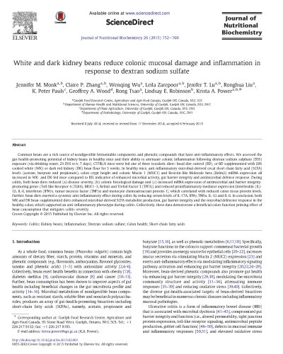 Black Kidney Beans_Botanical Blends