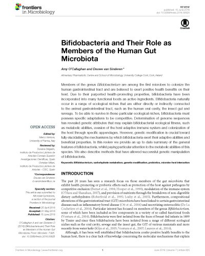 Bifidobacterium