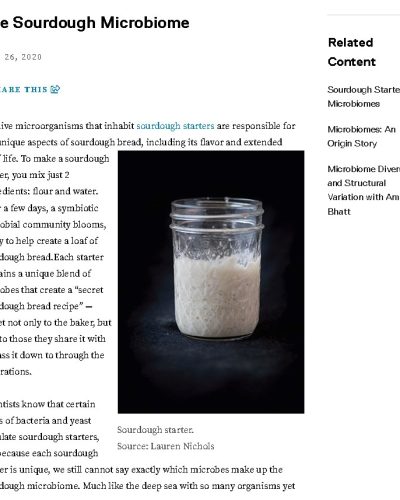 Article_Sourdough Microbiome