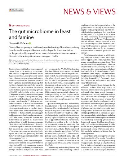Fibre_Gut Microbiome