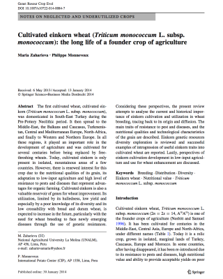 Cultivated einkorn wheat (Triticum monococcum L. subsp. monococcum)