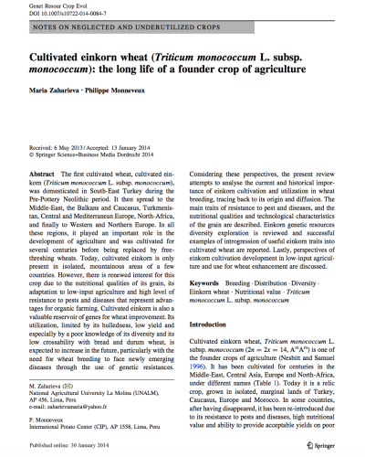 Cultivated einkorn wheat (Triticum monococcum L. subsp. monococcum)