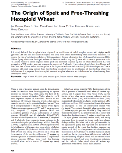 The origin of spelt and free-threshing hexaploid wheat
