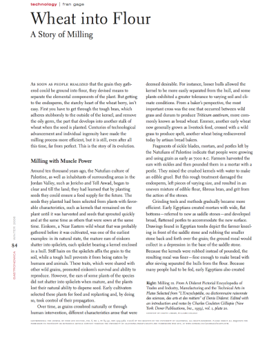 Wheat into Flour: A Story of Milling