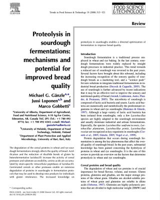 Proteolysis in sourdough fermentations: mechanisms and potential for improved bread quality