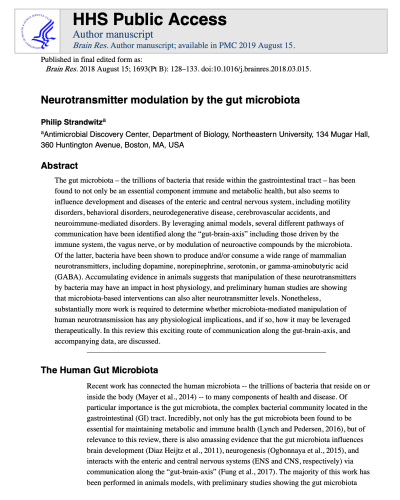 Neurotransmitter modulation by the gut microbiota - bread and guts