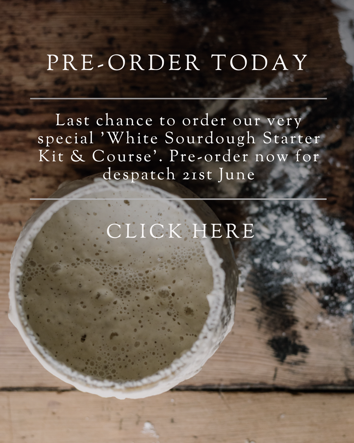 Order today: our Limited Edition &#8216;White Sourdough Starter Kit &#038; Course&#8217;