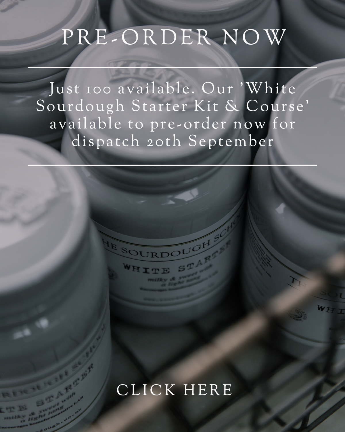 Last chance to order our &#8216;White Sourdough Starter Kit &#038; Course&#8217;