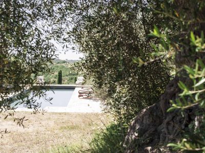 Learn how to bake the healthiest bread in the world