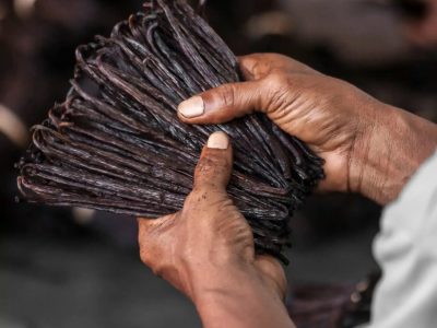 Vanilla pods being held