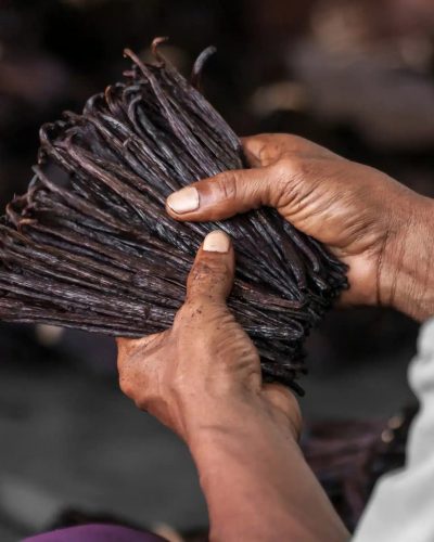 Vanilla pods being held