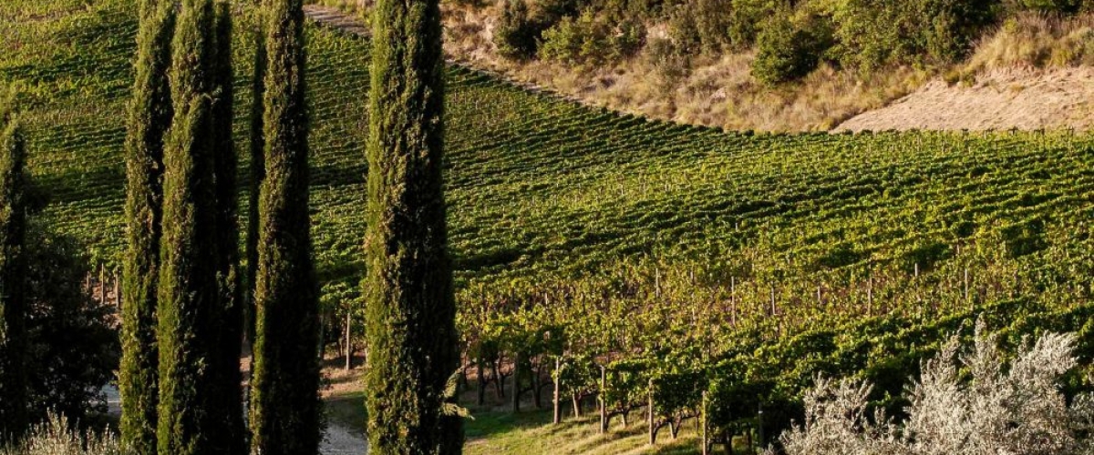 Bread, Tuscany & The last Few Places This September