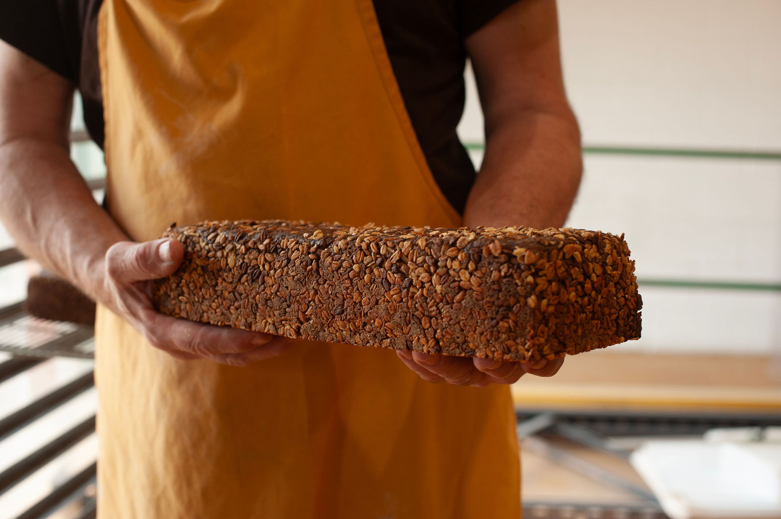 Unlock Better Health with our 12 week Bread & Gut Reset Course