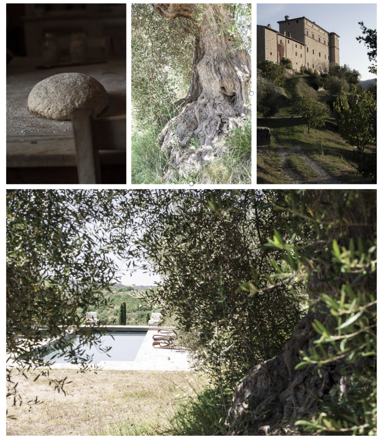 Đã phát hành – Khóa Tu Mùa Hè Tuscan