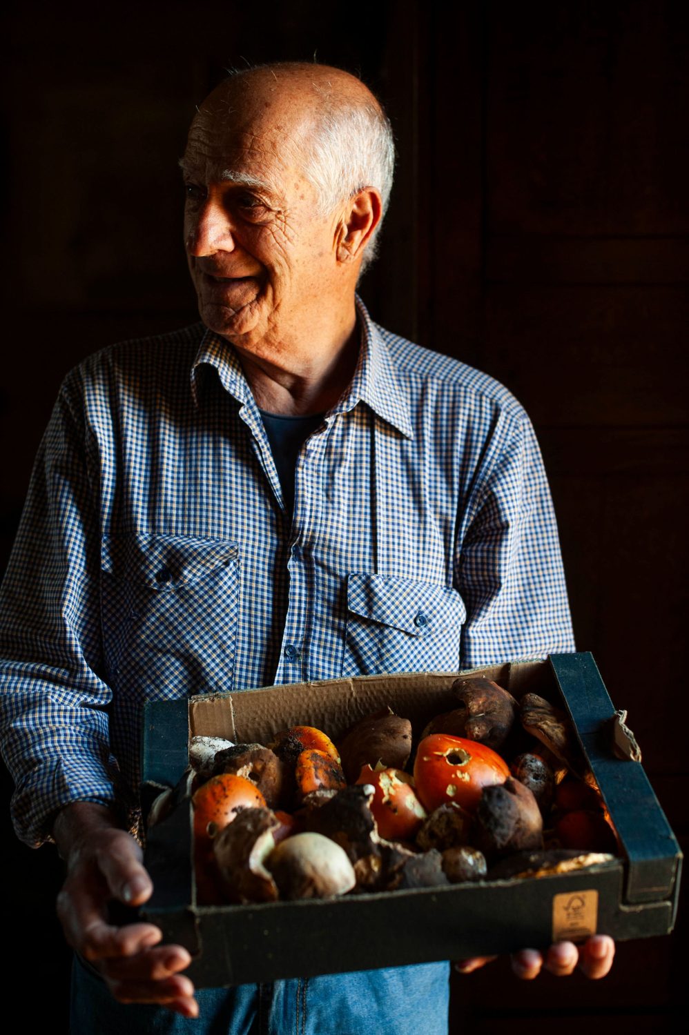Man holds carboard box filled with fresh mushrooms